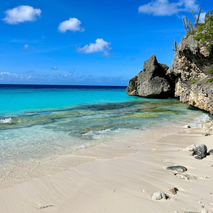 Curaçao Elixir: A Story of Color, Memory, and the Scent of Return